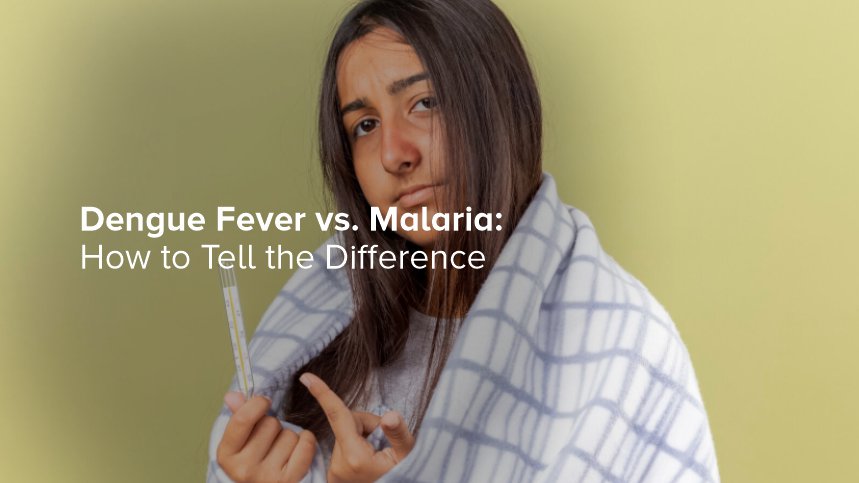 Dengue Fever vs. Malaria: How to Tell the Difference
